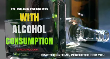 Alcohol and Poverty: A Complex Relationship