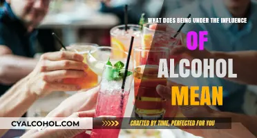 Alcohol's Influence: Understanding Impairment and Its Meaning