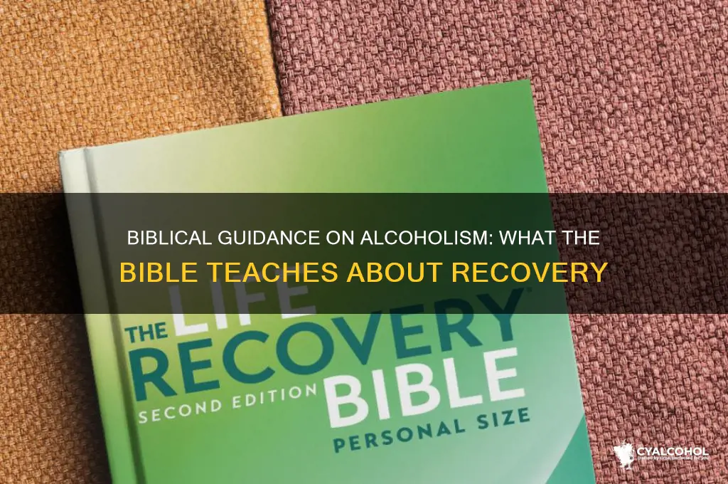 what does bible say about alcoholics
