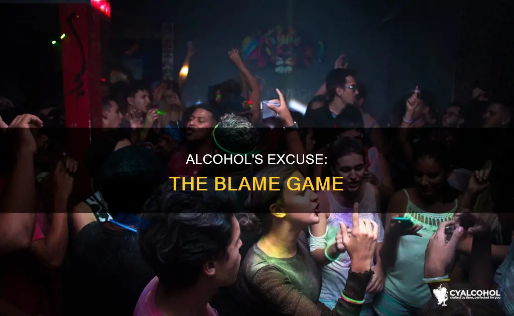 what does blame it on the alcohol really mean
