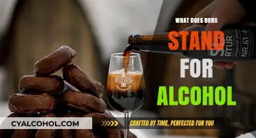 Understanding B.O.R.G. Alcohol Acronym: Origins, Meaning, and Cultural Impact