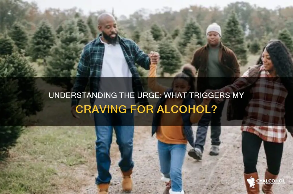 what does calls me for alcohol
