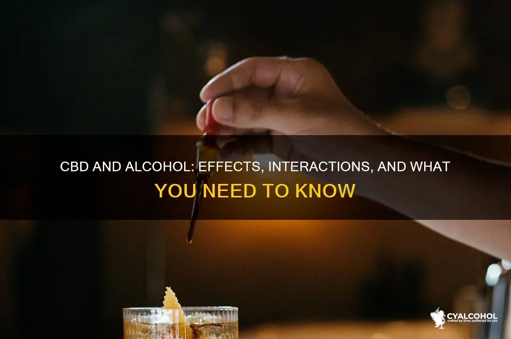 what does cbd and alcohol do