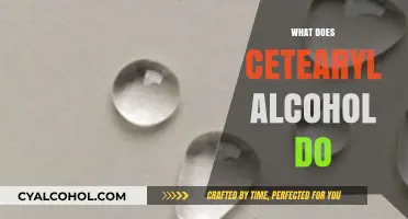 Cetearyl Alcohol Benefits: Hydration, Texture, and Skin-Friendly Uses Explained