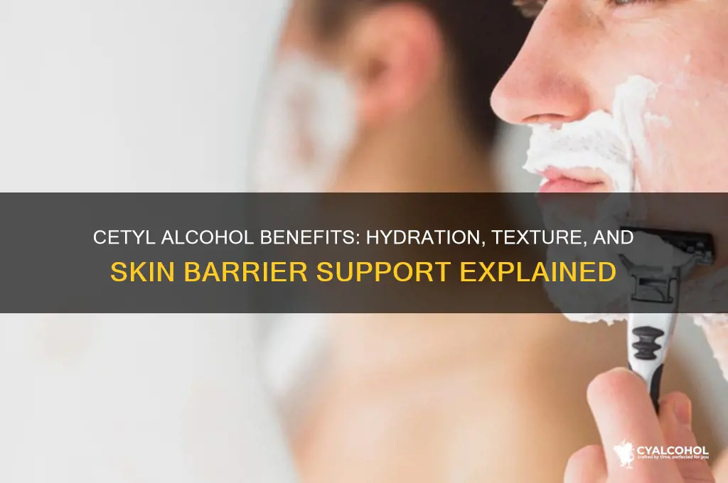 what does cetyl alcohol do for the skin