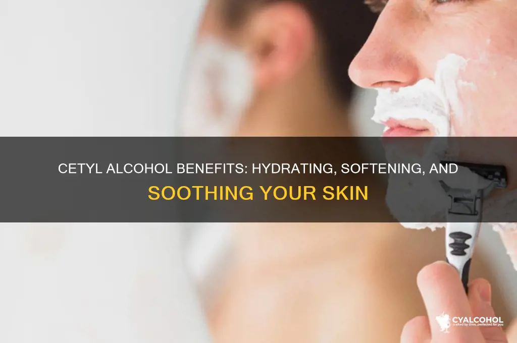what does cetyl alcohol do for your face