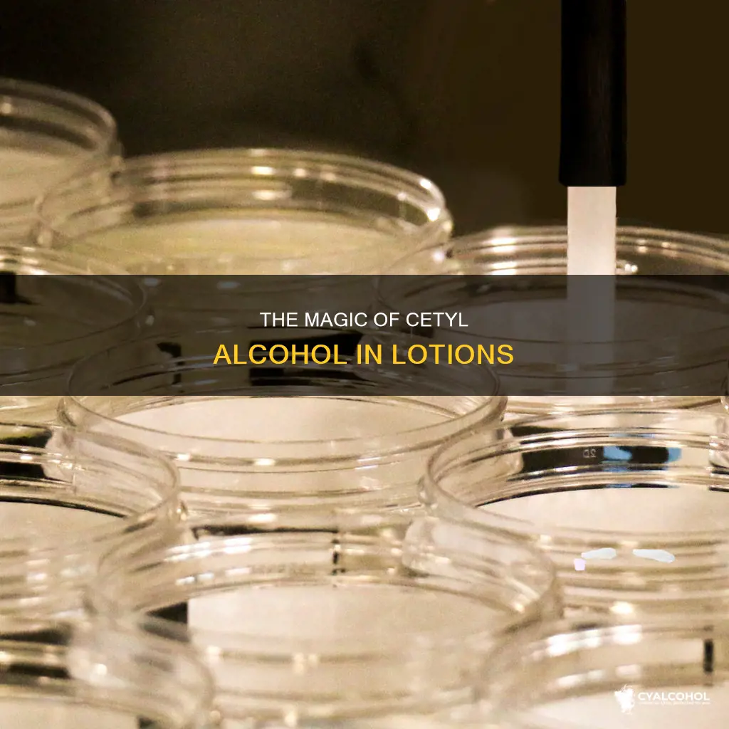 what does cetyl alcohol do in a lotion recipe