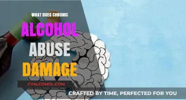 Devastating Effects of Chronic Alcohol Abuse on Body and Mind