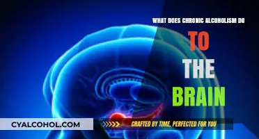 Chronic Alcoholism's Devastating Impact on Brain Function and Structure