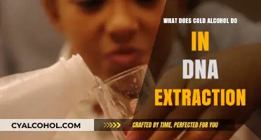 Cold Alcohol's Role in Efficient DNA Extraction: A Detailed Guide