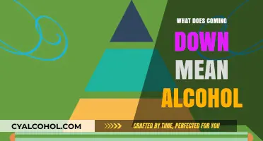 Understanding 'Coming Down' from Alcohol: Symptoms, Causes, and Recovery Tips