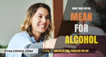 Understanding Alcohol Detox: Process, Benefits, and Safe Recovery Steps