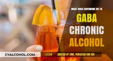 Dopamine's Impact on GABA in Chronic Alcohol Use Explained