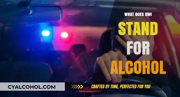 Understanding DWI: The Legal Implications of Alcohol-Impaired Driving
