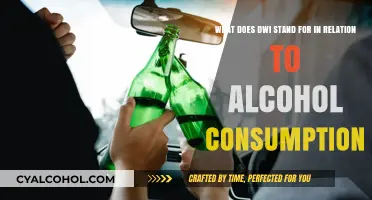 Understanding DWI: Alcohol and Its Legal Consequences