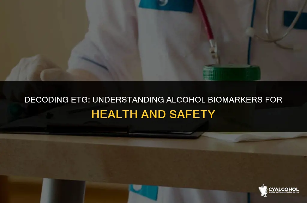 what does etg stand for alcohol