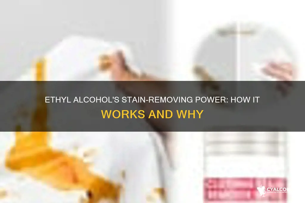 what does ethyl alcohol do for the stain
