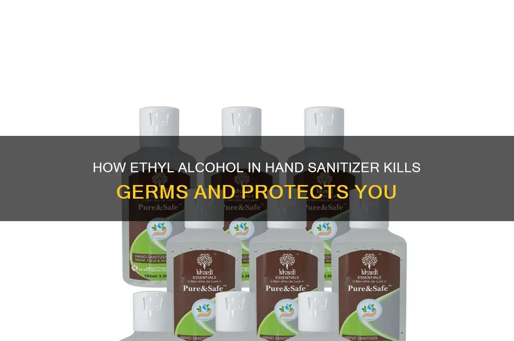 what does ethyl alcohol do in hand sanitizer