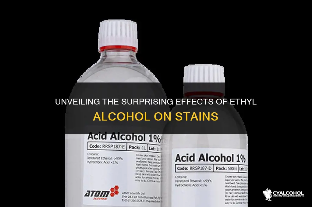 what does ethyl alcohol do stain