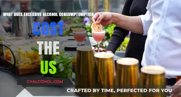 The Hidden Costs of Excessive Drinking in America