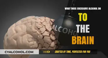 Excessive Alcohol's Impact: Unraveling Brain Damage and Cognitive Decline