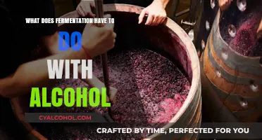Fermentation's Role in Alcohol Production: Unveiling the Science Behind the Buzz