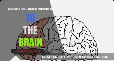 Alcohol's Impact: Fetal Brain Syndrome Explained