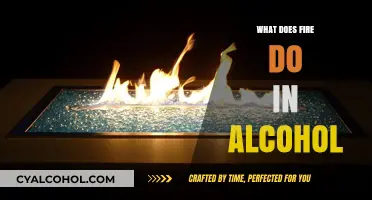 Exploring the Fiery Effects: How Alcohol Burns and Why It Matters
