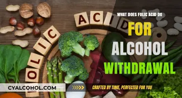Folic Acid's Role in Easing Alcohol Withdrawal Symptoms and Recovery