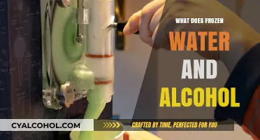 Exploring the Chilling Effects of Alcohol on Frozen Water