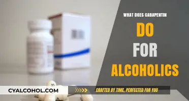 Unveiling the Role of Gabapentin in Alcoholism Treatment