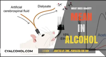 Decoding Gravity: Understanding the Science Behind Alcohol's Effects