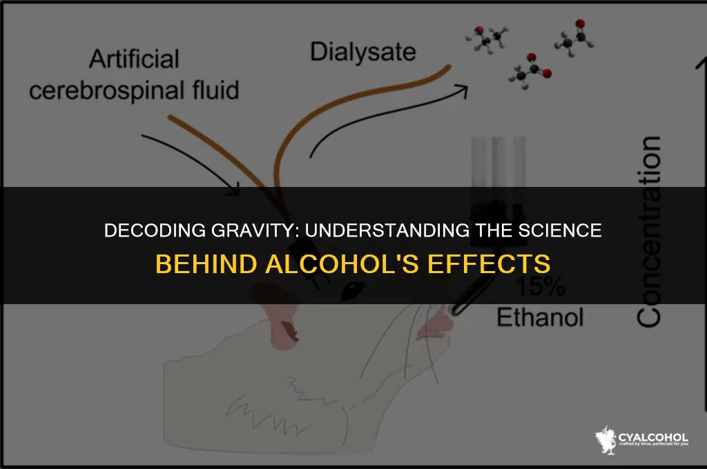 what does gravity mean in alcohol