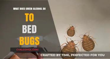 Green Alcohol's Impact on Bed Bugs: Effective Treatment or Myth?