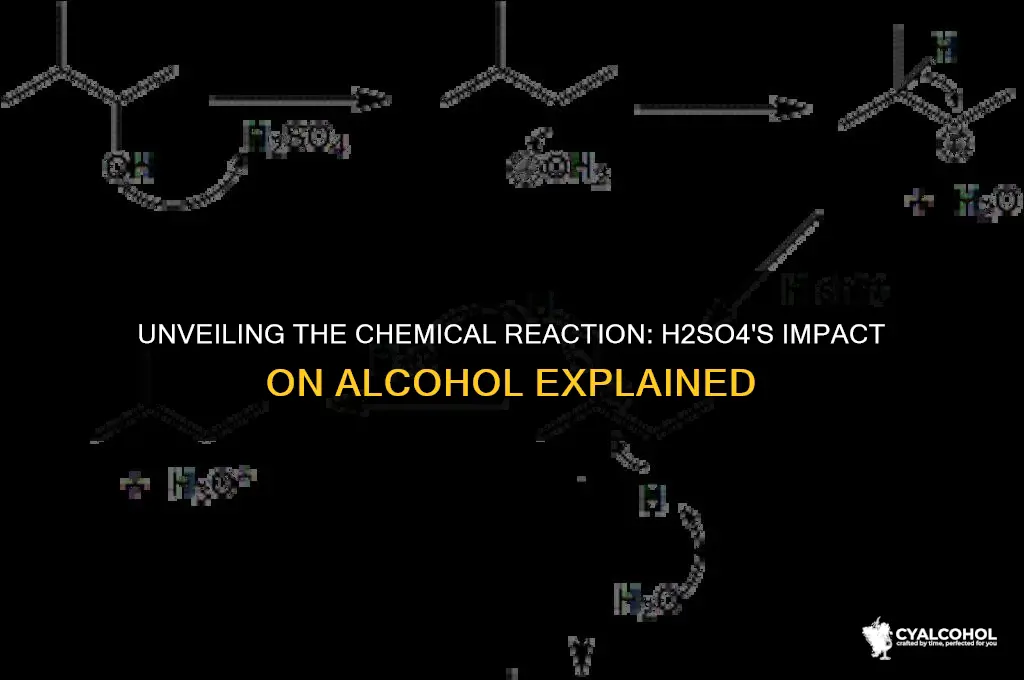what does h2so4 do to alcohol