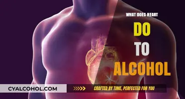 Unveiling the Effects: How Alcohol Influences Your Heart Health