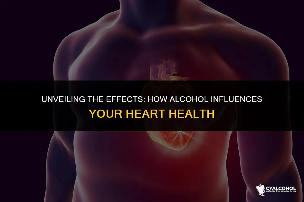 what does heart do to alcohol