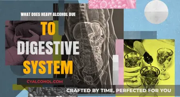 Heavy Alcohol's Impact: How It Damages Your Digestive System