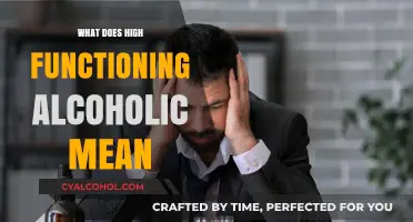 Understanding High-Functioning Alcoholism: Signs, Risks, and Treatment Options