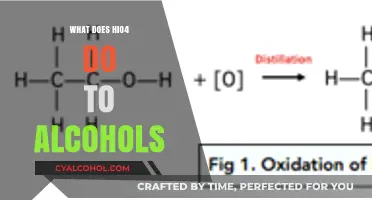 Unveiling the Role of HIO4 in Alcohol Oxidation Reactions