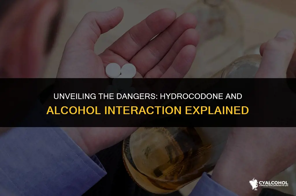 what does hydrocodone and alcohol do