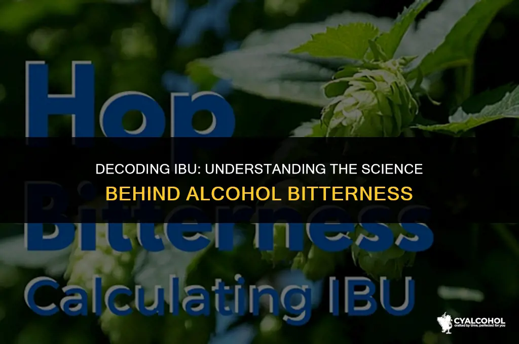 what does ibu mean in alcohol