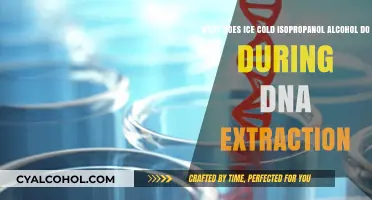 Isopropanol's Chilling Effect on DNA Extraction