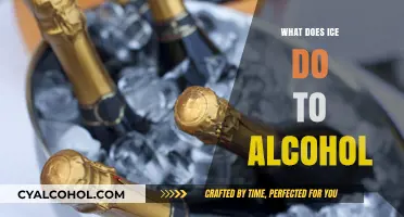 Chilling Effects: How Ice Impacts the Taste and Experience of Alcohol