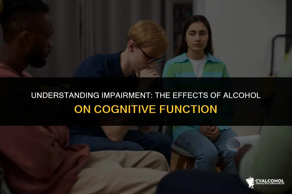 what does impaired by alcohol mean