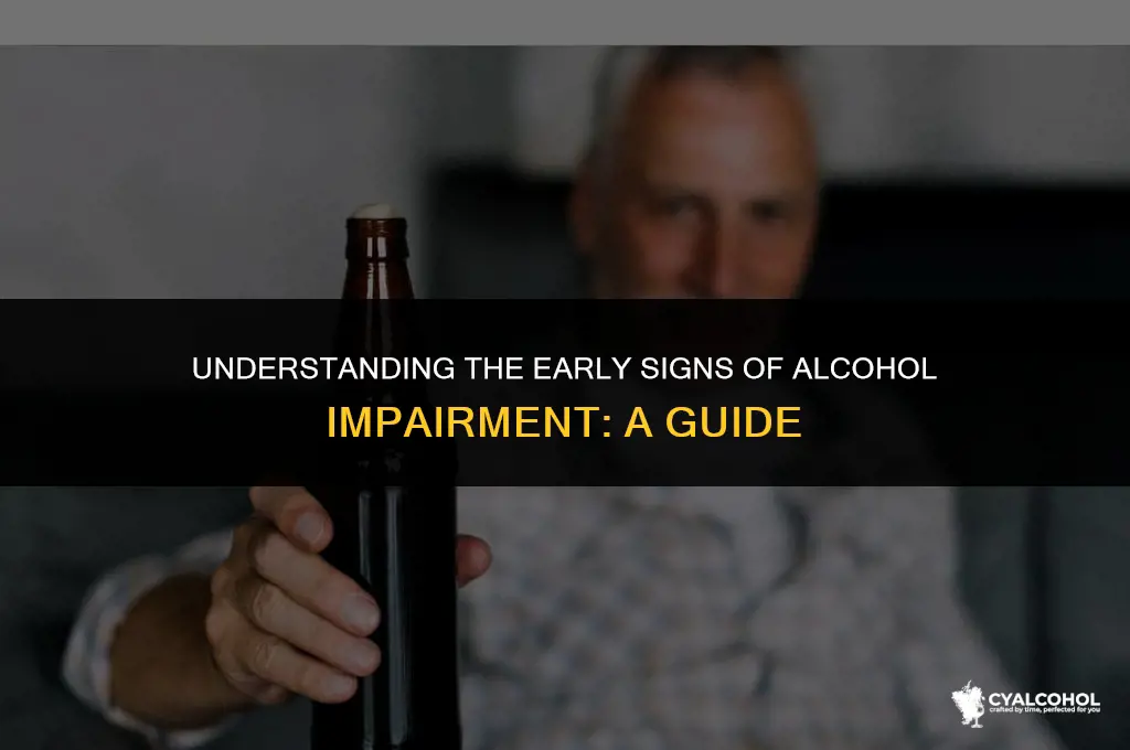 what does impairment from alcohol begin