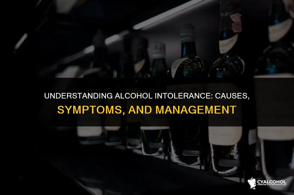 what does intolerance to alcohol mean