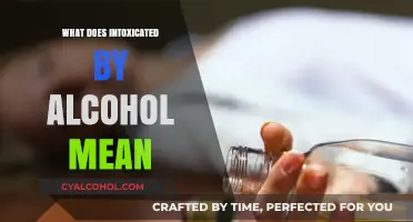 Understanding Intoxication: What Does Being Drunk Really Mean?