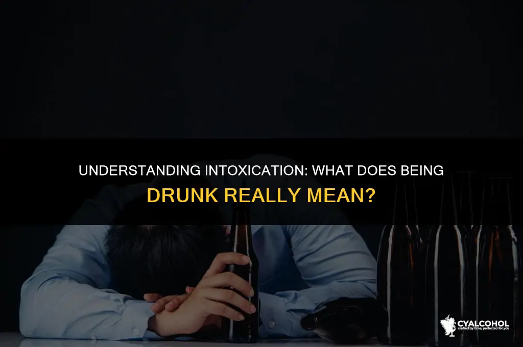 what does intoxicated by alcohol mean