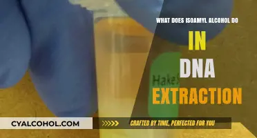 Isoamyl Alcohol's Role in Efficient DNA Extraction Explained